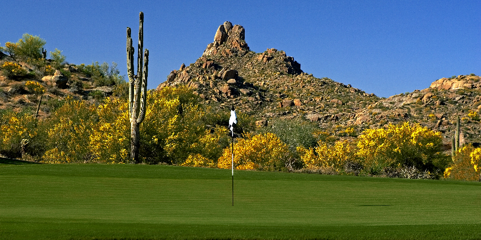 Troon North — desert sunset fairway