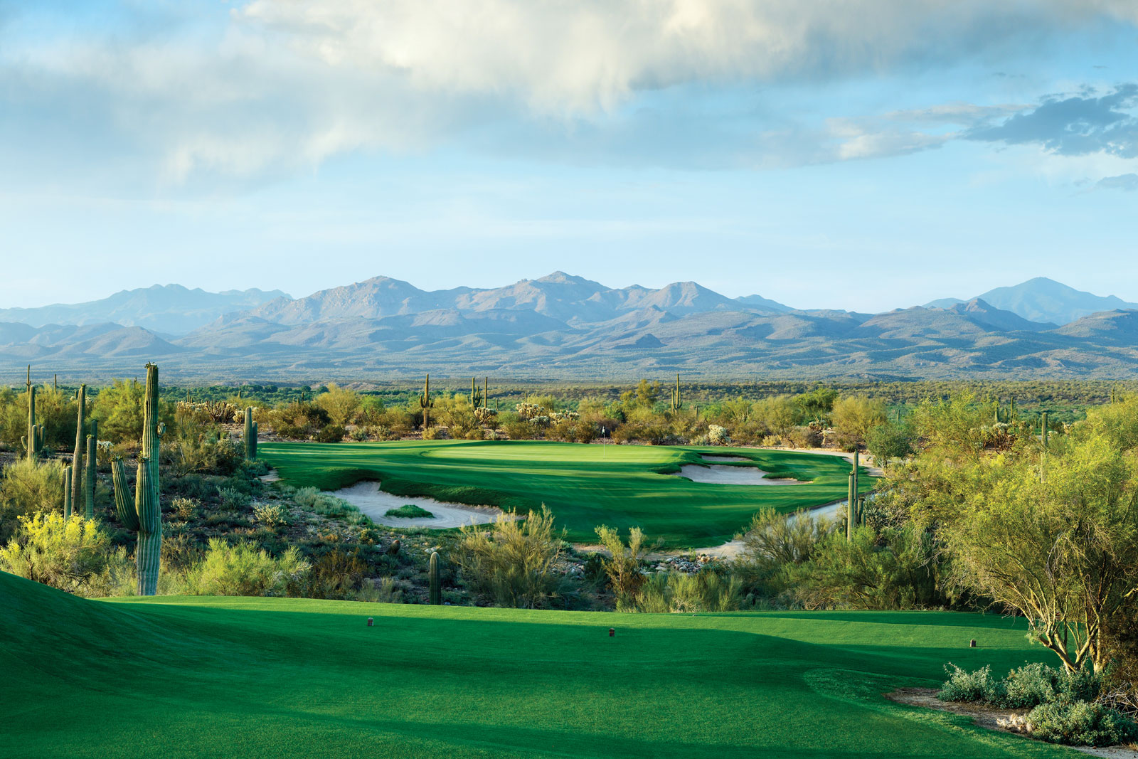 WeKoPa Saguaro Course — fairway with saguaro cacti