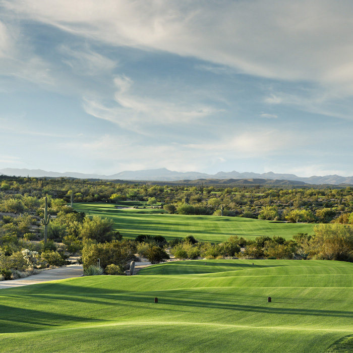 WeKoPa Saguaro — panoramic desert vista