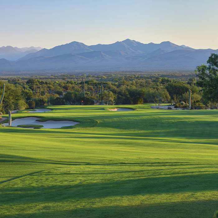WeKoPa Saguaro — mountain backdrop